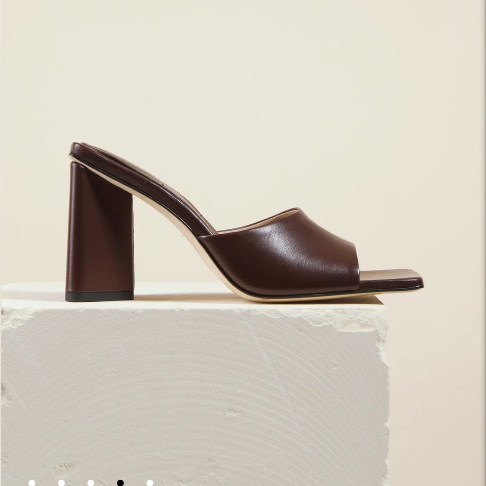 Dear Frances Shell Mule